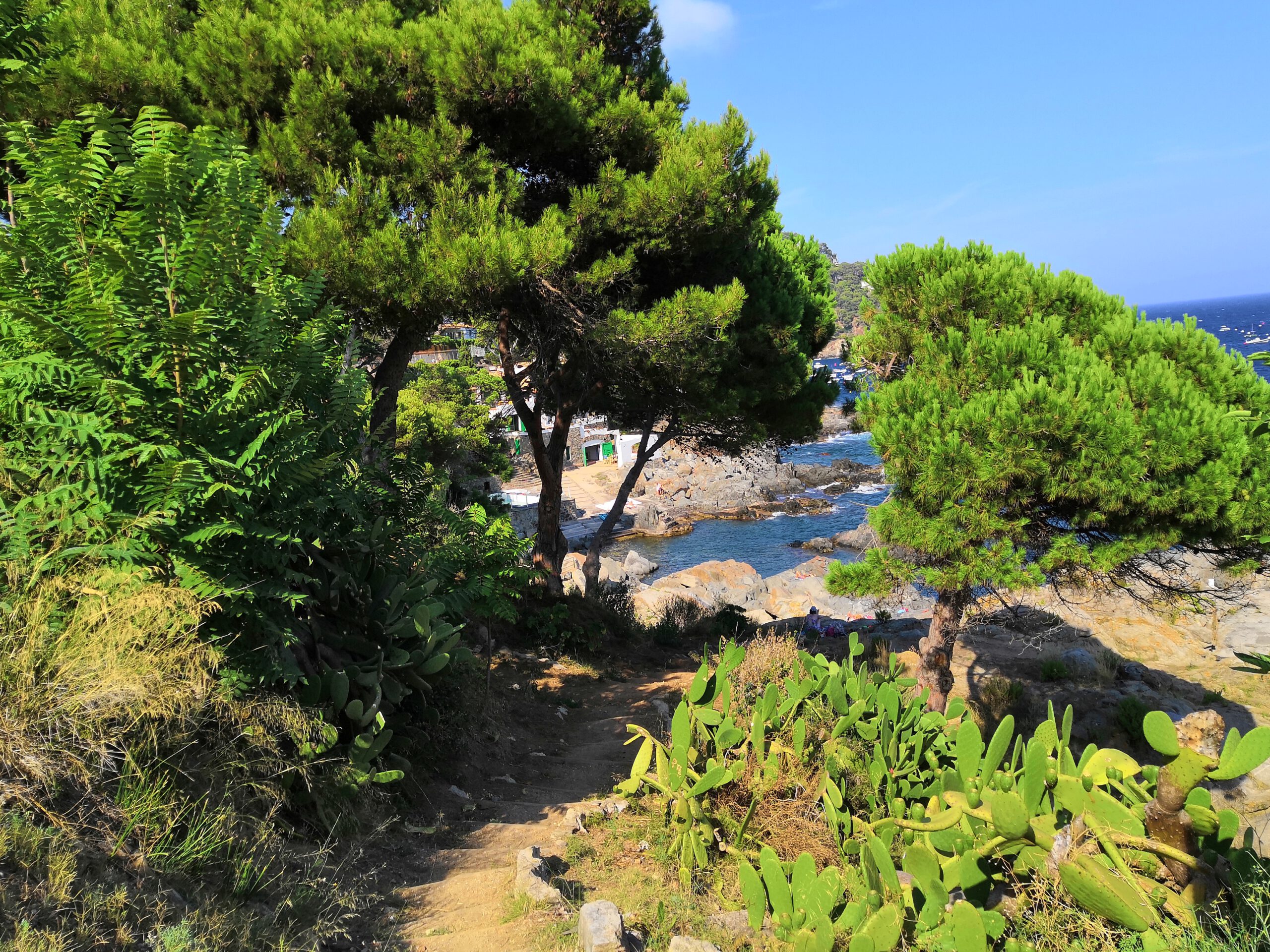 Calella de Palafrugell, Girona, Spain, staircase, trees, greens, beach, rocks, ocean view, water, sky 
