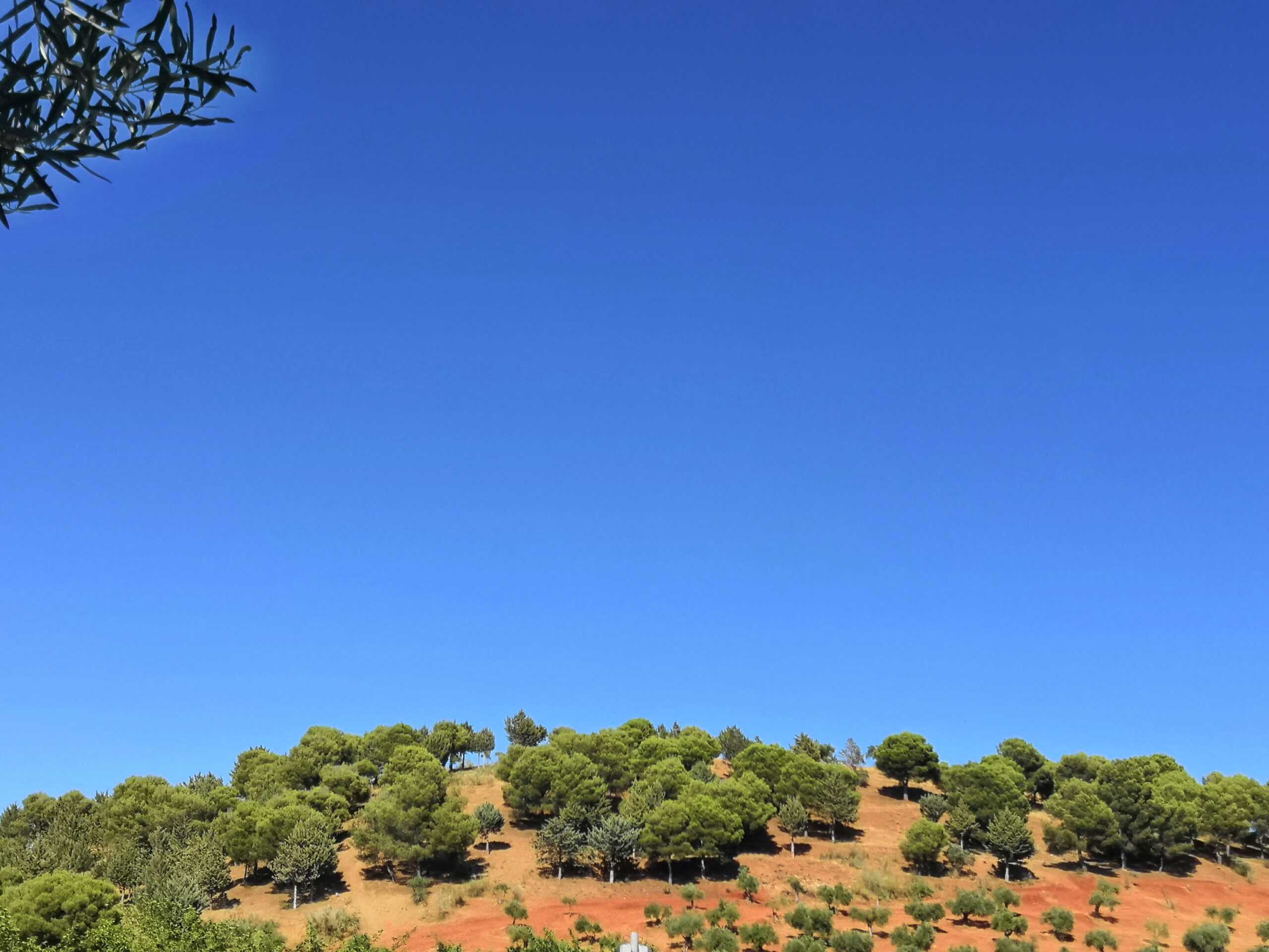 alhambra, granada, spain, andalusia, sky, trees, mountains, red sand