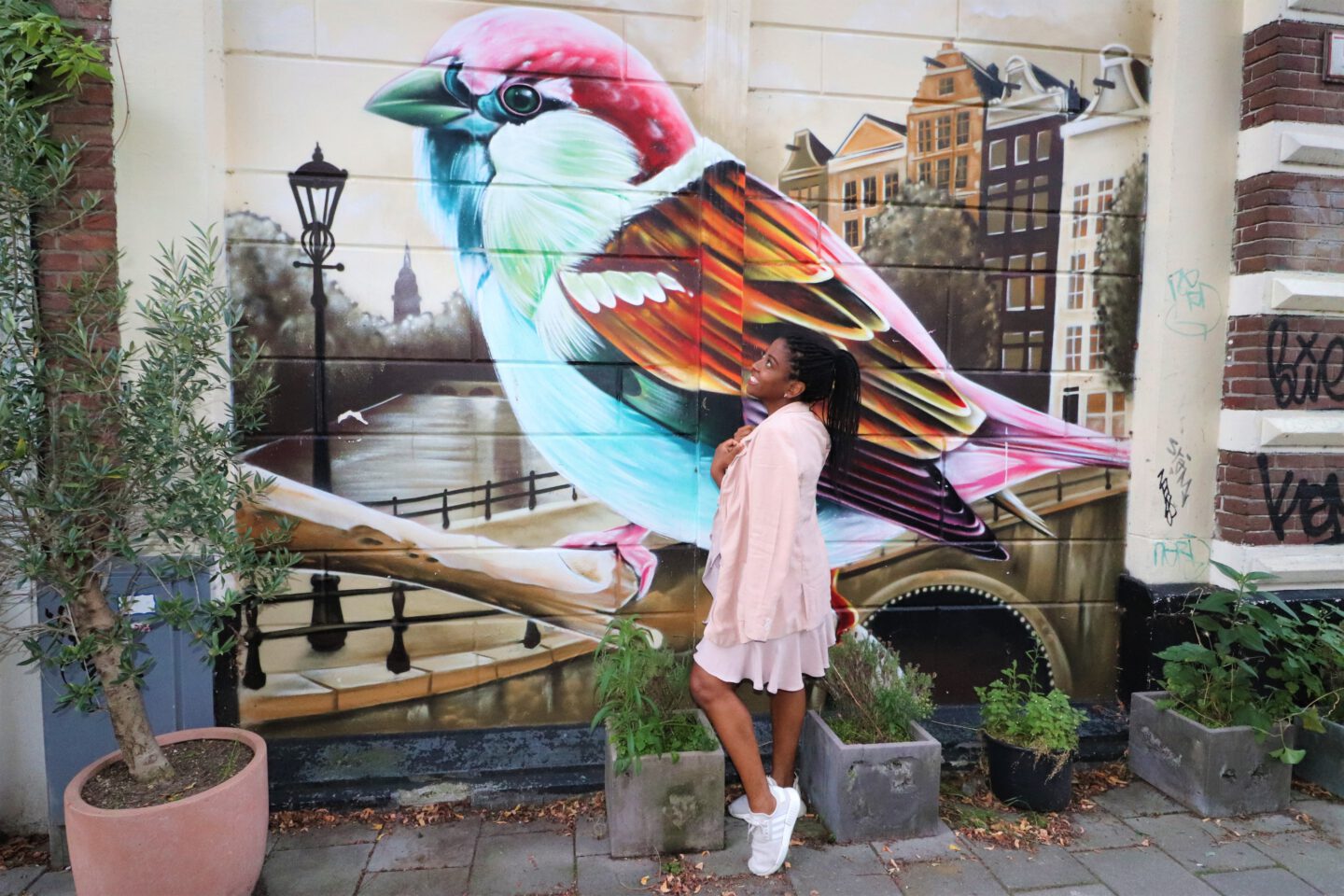 bird, wall painting, black girl, Amsterdam, pink outfit, Adidas, pastel colors, brown skin, melanin, smile, look up, believe, have faith